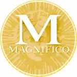 Profile picture of MagnificoArtHeritage