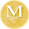 Profile picture of Magnifico Art Heritage